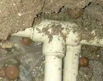 庄浪测漏水多少钱