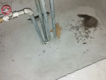 庄浪卫生间测漏水价格明细