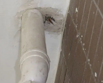 庄浪漏水检测哪家好